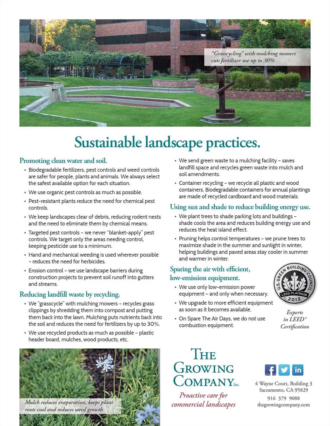 Growing Company Sustainable Landscape Practices Flyer