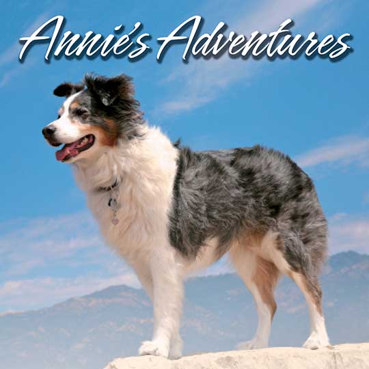 Annie's Adventures Wine Label