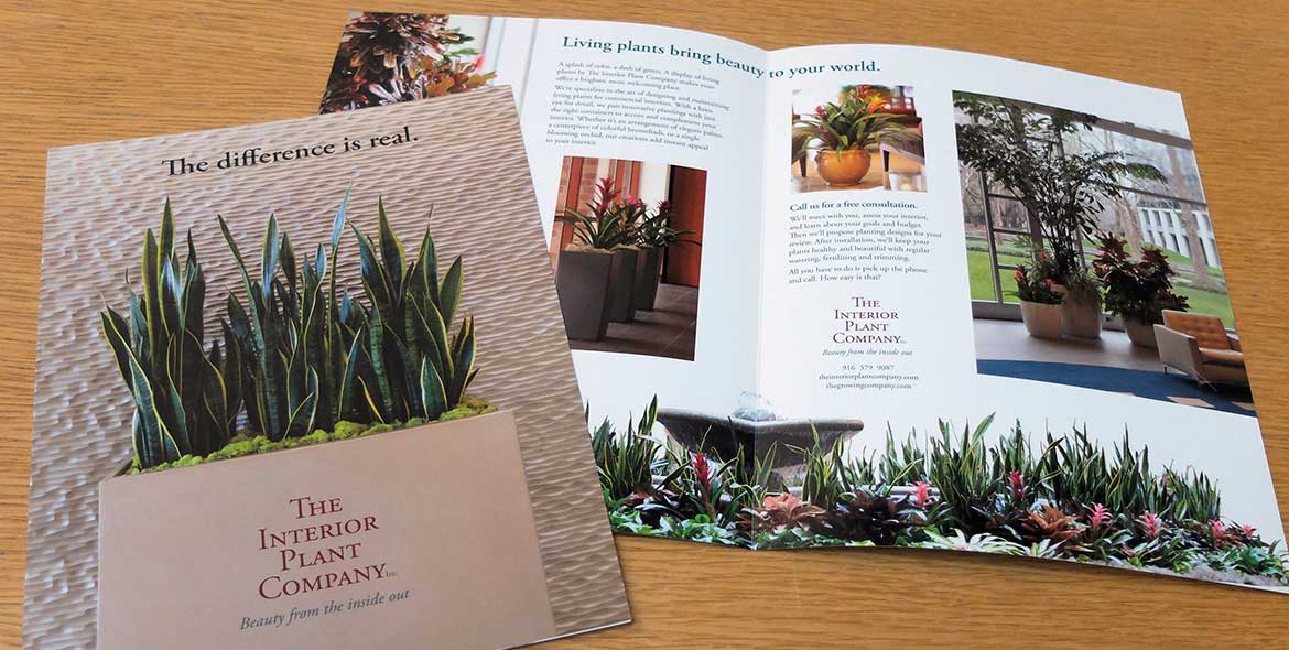 Interior Plant Company Brochure