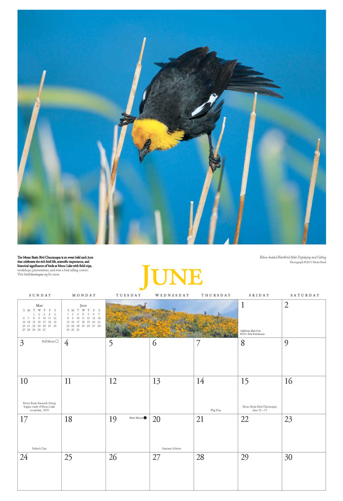 Mono Lake Calendar