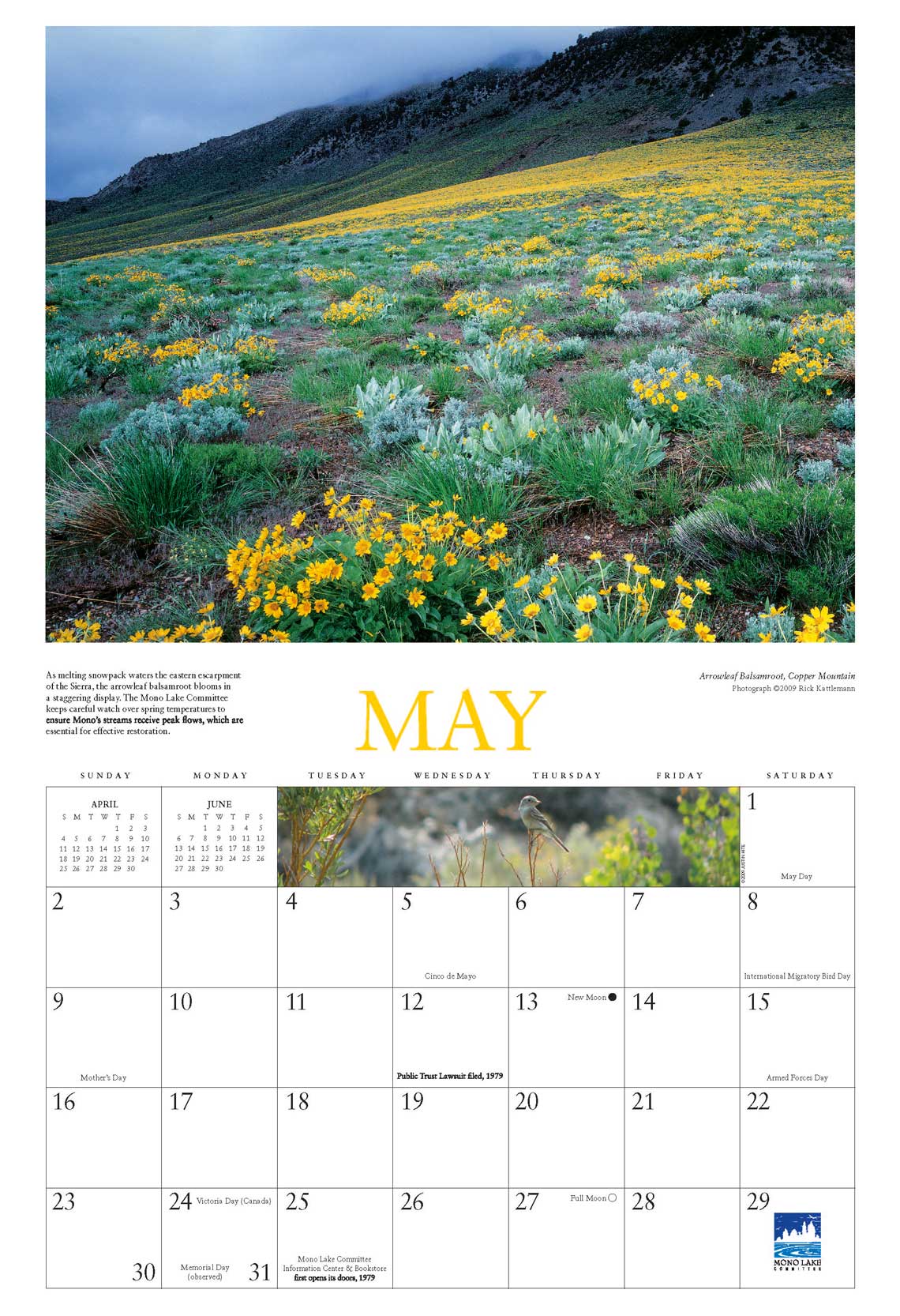 Mono Lake Calendar