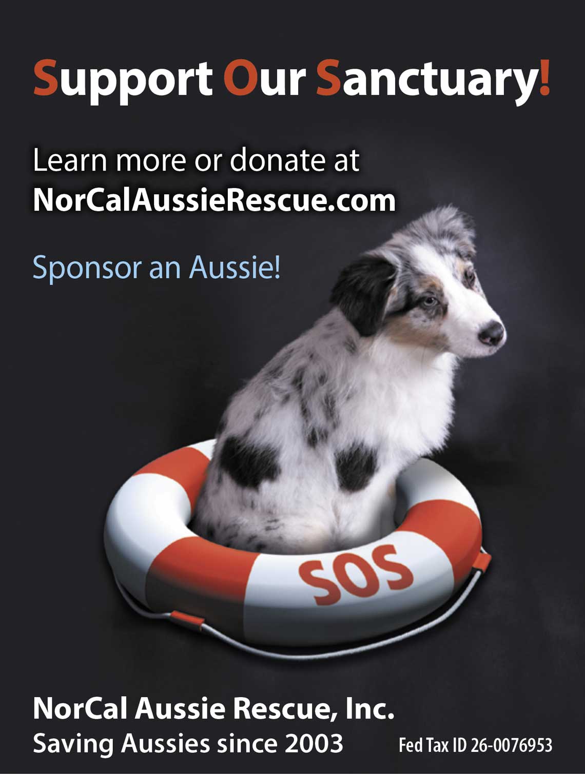NorCal Aussie Ad